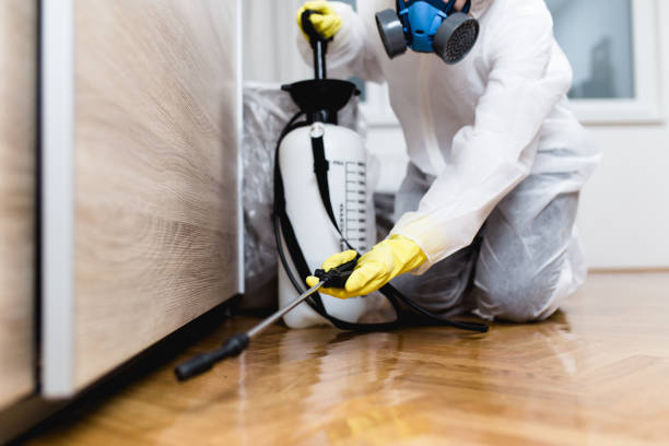 Best Affordable Pest Control Services  in Naranja, FL