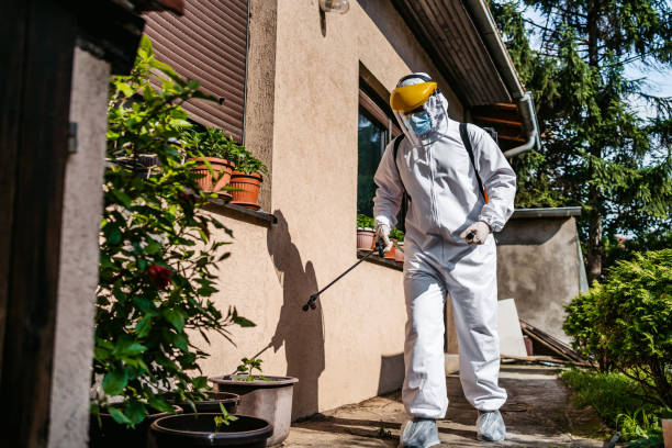 Best Pest Inspection Near Me  in Naranja, FL