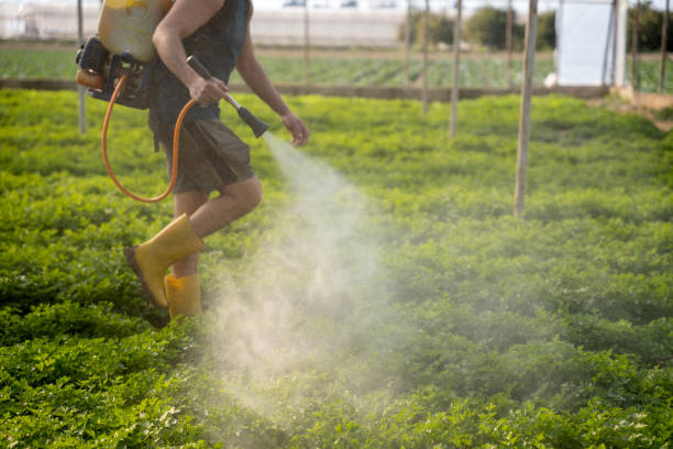 Best Pest Control Cost  in Naranja, FL