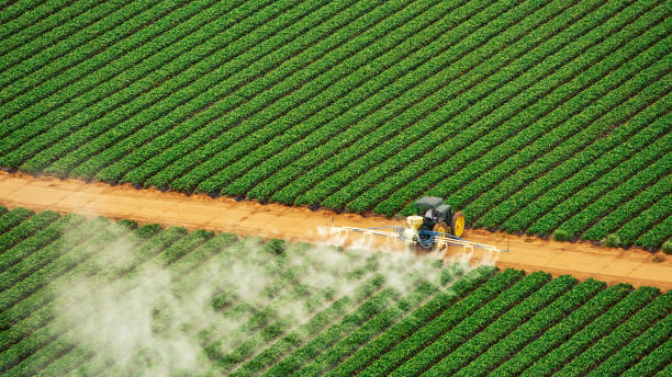 Best Best Pest Control Companies  in Naranja, FL